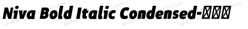 Niva Bold Italic Condensed字体转换